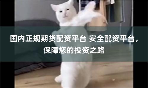 國內(nèi)正規(guī)期貨配資平臺 安全配資平臺，保障您的投資之路